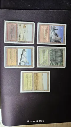 Revised Ed. MTG Dual land. NO BLUE LOT - Image 1