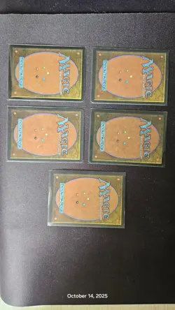 Revised Ed. MTG Dual land. NO BLUE LOT - Image 2