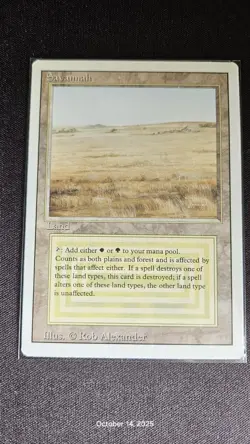 Revised Ed. MTG Dual land. NO BLUE LOT - Image 3