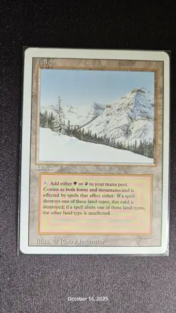 Revised Ed. MTG Dual land. NO BLUE LOT - Image 5