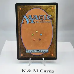 MTG - Alliances - Royal Herbalist - Common - LP - Image 3