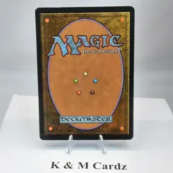 MTG - Alliances - Soldevi Heretic (Blue Robe) - Common - LP - Playset x4 - Image 3