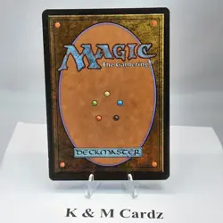 MTG - Alliances - Soldevi Sage (2 Candles) - Common - LP - Image 3