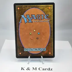 MTG - Alliances - Soldevi Sage (Old Woman) - Common - LP - Playset x4 - Image 3