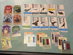 Null Signal Games Netrunner Collection Complete Standard Card Pool, 70+ alt arts - Image 1