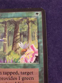 Wild Growth ALPHA NM Old School Magic, MTG See card photos - Image 3