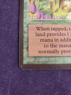 Wild Growth ALPHA NM Old School Magic, MTG See card photos - Image 5