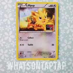 Pokemon Card Lillipup 81/114 Crosshatch Reverse Holo Pokemon League Promo LP - Image 1