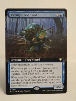 MTG Twenty-Toed Toad (extended) - Bloomburrow (BLB) 0051 - Near Mint / Mint - Image 1