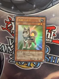 (MC) YuGiOh TCG Shiba-Warrior Taro YAP1-JP009 Ultra Rare Holo JAPANESE VLP - Image 1