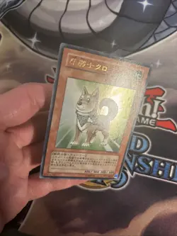 (MC) YuGiOh TCG Shiba-Warrior Taro YAP1-JP009 Ultra Rare Holo JAPANESE VLP - Image 3
