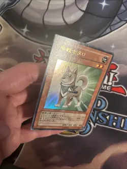 (MC) YuGiOh TCG Shiba-Warrior Taro YAP1-JP009 Ultra Rare Holo JAPANESE VLP - Image 4