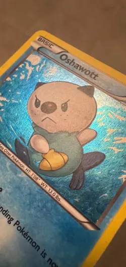 Oshawott BW08 - Black & White Black Star Promo Vintage Holo Pokemon Card - Image 2