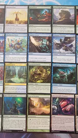 MTG Tatyova, Benthic Druid Deck Core Near Mint - Image 3