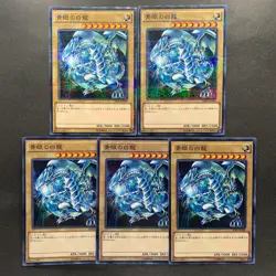 NM 5 card Blue-Eyes White Dragon SDKS-JP009 Parallel Rare YuGiOh 500 - Image 1