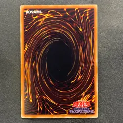 NM 5 card Blue-Eyes White Dragon SDKS-JP009 Parallel Rare YuGiOh 500 - Image 3