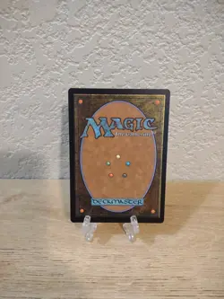 MTG Forest #363 NM Secret Lair Drop Series - Image 2