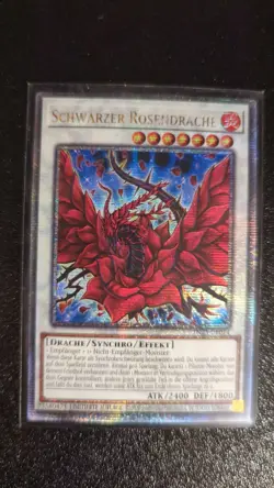 Yu-Gi-Oh! Black Rose Dragon | TN23-DE014 | German | 25th Secret Rare | NM - Image 1