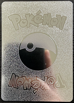 Dragonite Vstar Silver Foil Fan Art Vinyl Collector Pokemon Card Costumed - Image 3