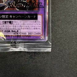 NEW Dark Paladin 711C-JP003 Normal Parallel Rare YuGiOh 260 - Image 5