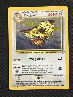 Pidgeot - Jungle - 8/64 - Holo Rare - Unlimited -MP - Pokemon Card - WoTC - Image 1