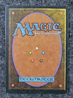 MTG - 3rd Edition - Revised - Cursed Land - Uncommon - LP ...........(DS3D1L2) - Image 2