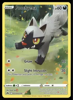 ✅Pokemon Poochyena GG33/GG70 Crown Zenith: Galarian Gallery Holo✅ NM ✅ B2CL ✅ - Image 1