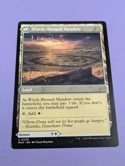 MTG Magic: Modern Horizons 3: Witch Enchanter Witch-Blessed Meadow #0239 - LP - Image 2