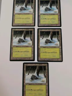 5x Snow-Covered Forest MTG Ice Age LP (Lot of 5) - Image 1