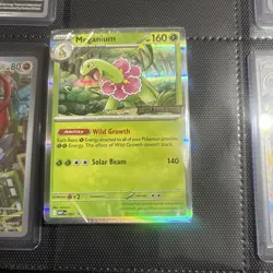 Meganium Mega Evolution Stamped Build and Battle Promo Sealed 40 Card Deck - Image 1