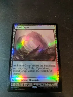 [1x] Blood Crypt - Foil Slight Play, English Expedition Lands MTG Magic - Image 2