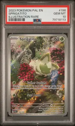 PSA 10 Sprigatito 196/193 Paldea Evolved Illustration Rare Art Pokemon - Image 1