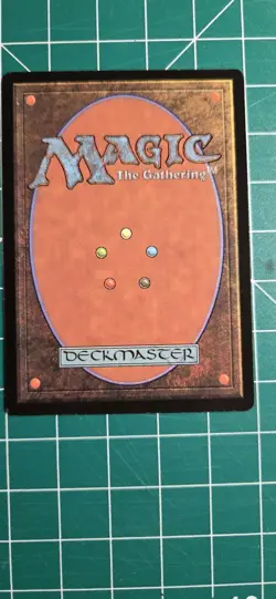 Enlightened Tutor Mirage Regular - Image 2