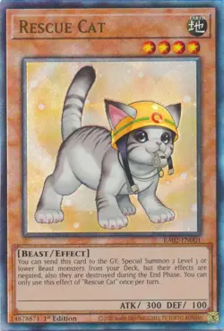 Yugioh 25th Anniversary Rarity Collection II RA02 Ultimate Rare 1st Edition MINT - Image 3