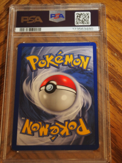 Pokemon 1999 1st Edition Shadowless Base Squirtle common card, PSA 8 - Image 3