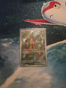 Shuckle 136/132 - Pokemon Mega Evolution Illustration Rare IR Holo NM/M - Image 1