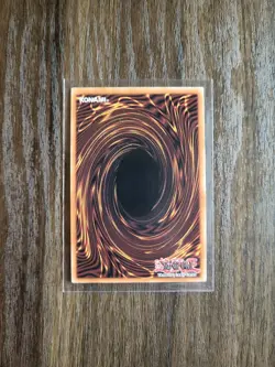 Droll & Lock Bird Alt Art 1st Edition Ultra Rare RA02-EN006 NM - Image 2