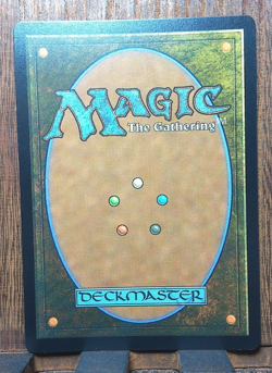 MTG Fiery Islet (Borderless FOIL) Assassin's Creed PACK FRESH Near Mint! - Image 2