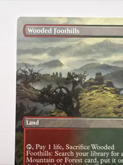 Wooded Foothills (Borderless) Modern Horizons 3 Regular - Image 2