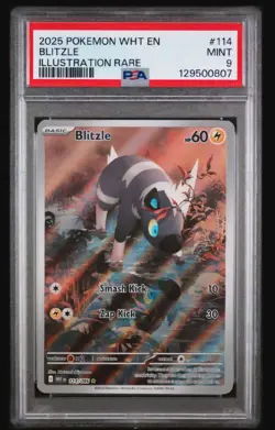 2025 POKEMON WHT EN-WHITE FLARE ILLUSTRATION RARE #114 BLITZLE PSA 9 - Image 1