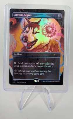 MTG Foil Arcane Signet (1924) | NM | Dogs are Better than Cats | Secret Lair - Image 1