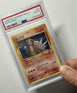Order: (VACSMINTCARDS) Entei No. 244 •PSA 6 EX-MT• Holo Rare Neo Revelation 2000 - Image 3
