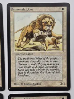 4x Savannah Lions (CE) Collector's/International Edition - Image 3