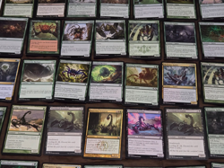 MTG Lot of 40 Creature Cards(SPIDER & SCORPION) Deadly Recluse/Netcaster Spider - Image 2