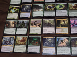 MTG Lot of 40 Creature Cards(SPIDER & SCORPION) Deadly Recluse/Netcaster Spider - Image 3