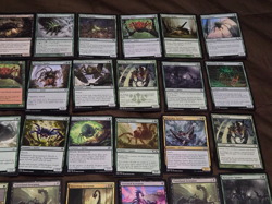 MTG Lot of 40 Creature Cards(SPIDER & SCORPION) Deadly Recluse/Netcaster Spider - Image 5