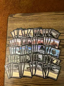 Tempest Basic Land Lot x80 Magic the Gathering Tempest Lands 4x Each Art Played - Image 1