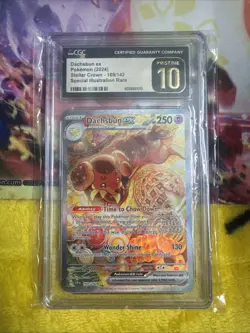 CGC Pristine 10 Dachsbun EX 2024 Stellar Crown Illustration Card 169/142 Rare - Image 1