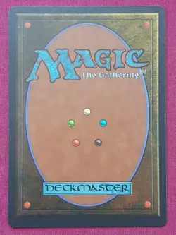 Magic The Gathering HOMELANDS KOSKUN FALLS black card MTG - Image 2