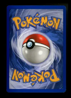Ursaring 110/144 Skyridge 2003 Reverse Holo Pokemon Card TCG - Image 2
